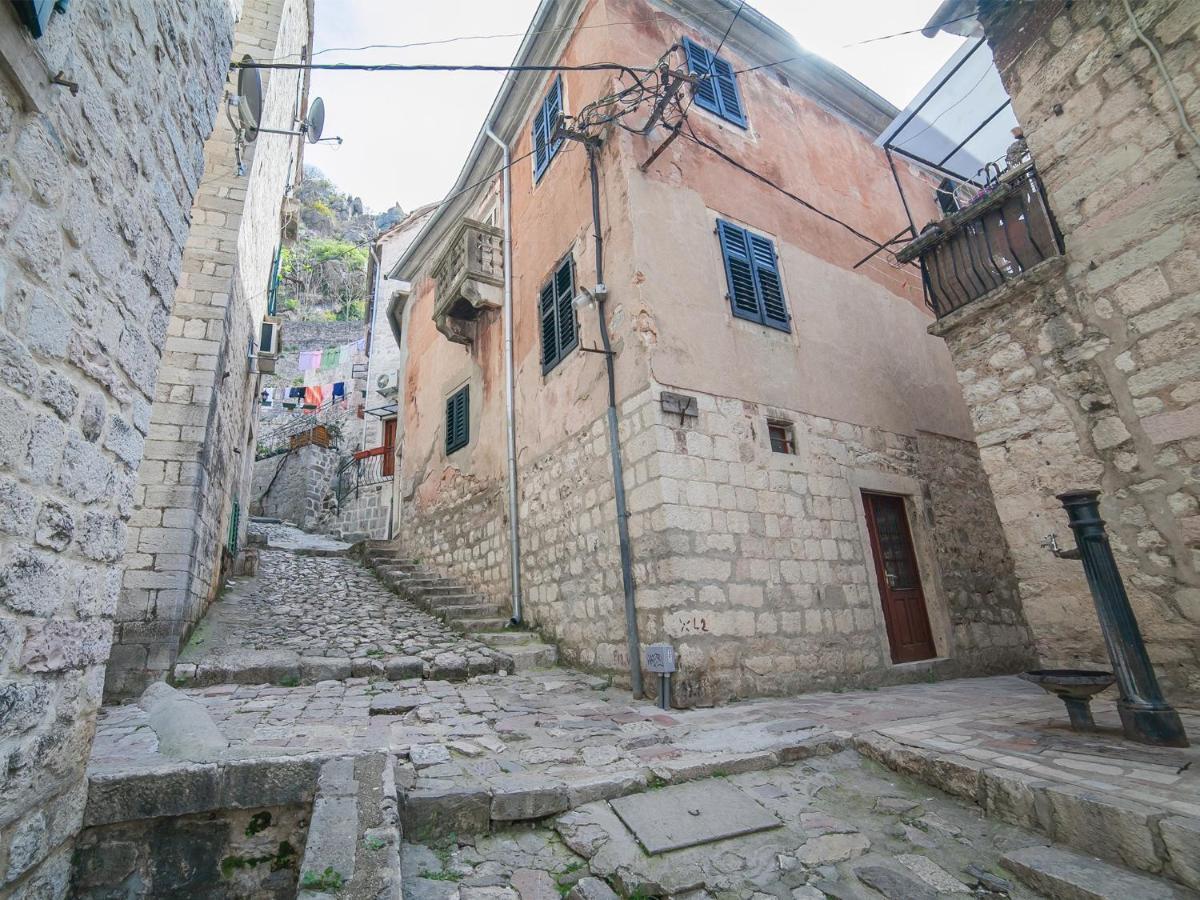 Apartment Alexandra Kotor Zewnętrze zdjęcie