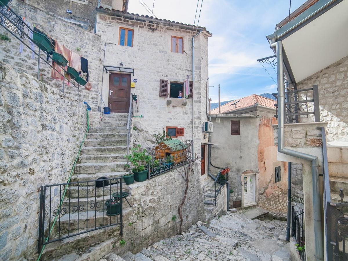 Apartment Alexandra Kotor Zewnętrze zdjęcie
