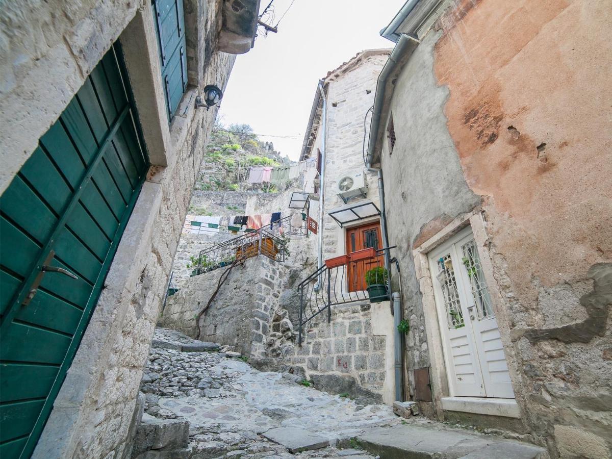 Apartment Alexandra Kotor Zewnętrze zdjęcie
